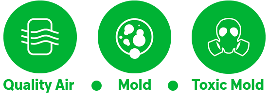 Residential Mold Remediation and Mold Cleanup Services in Chicagoland